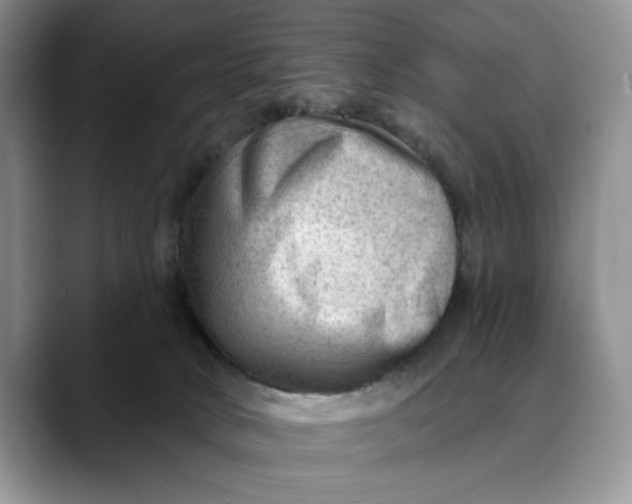 X0000088410034200706121422