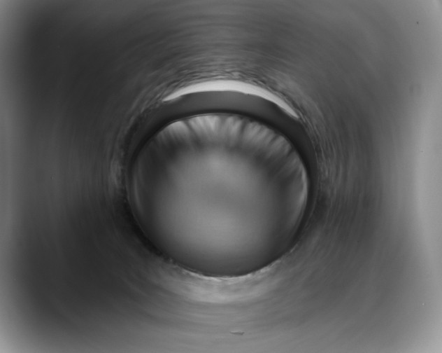 X0000088410035200706121422