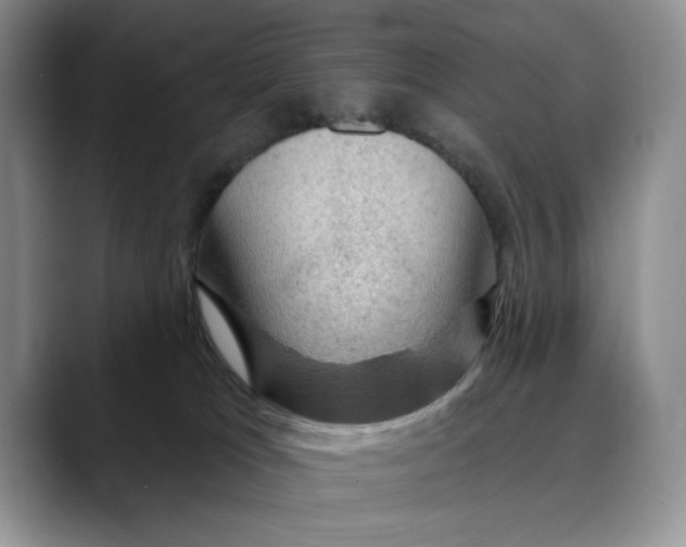 X0000088410037200706121422