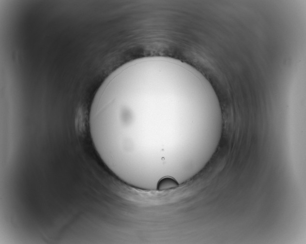 X0000088410038200706121422