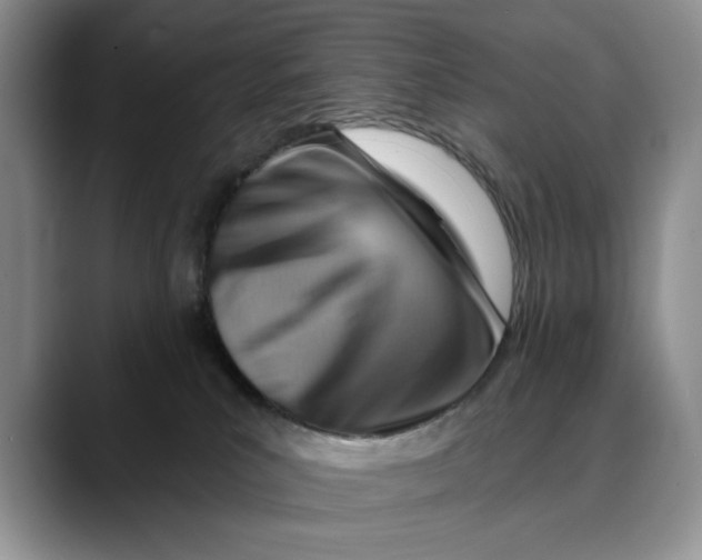 X0000088410039200706121422