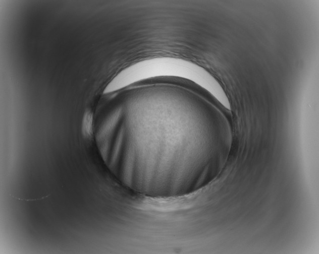 X0000088410041200706121422