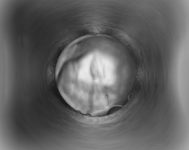 X0000088410043200706121422