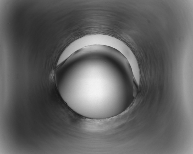 X0000088410045200706121422