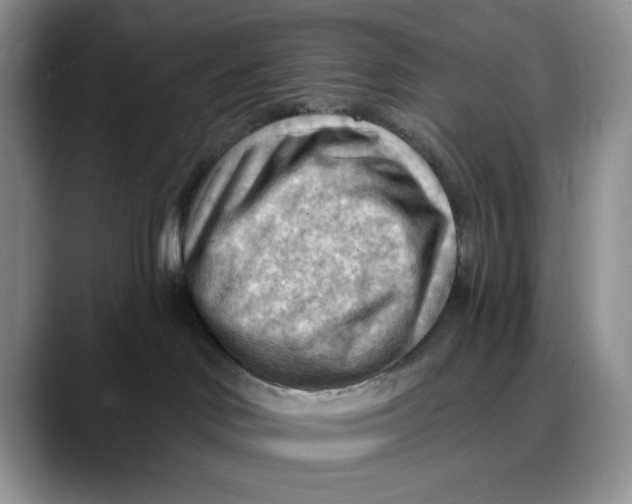 X0000088410046200706121422