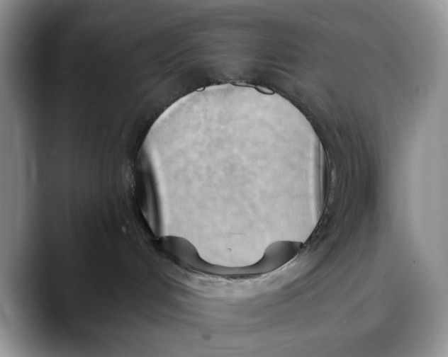 X0000088410048200706121422