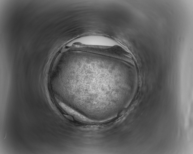 X0000088410049200706121422