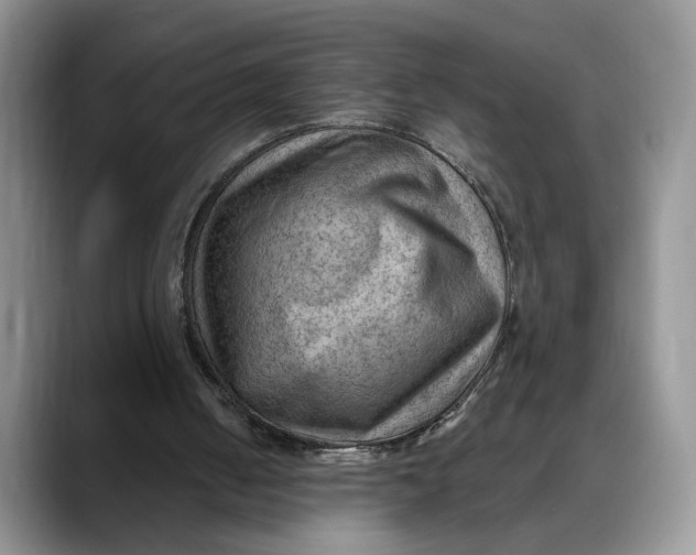 X0000088410050200706121422