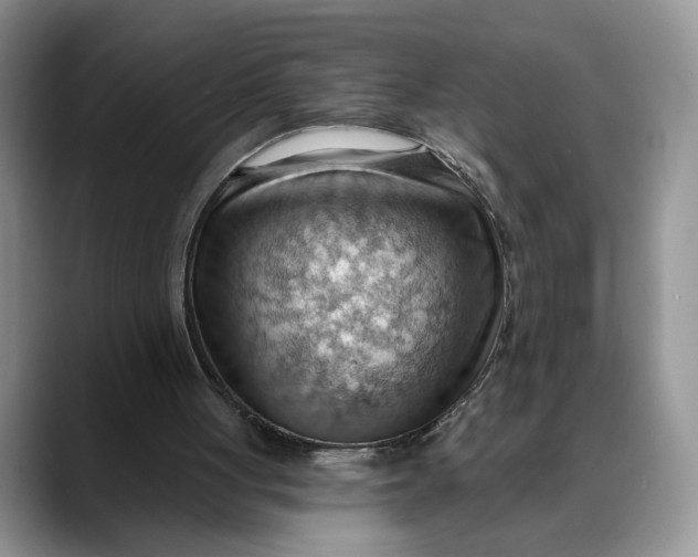 X0000088410051200706121422