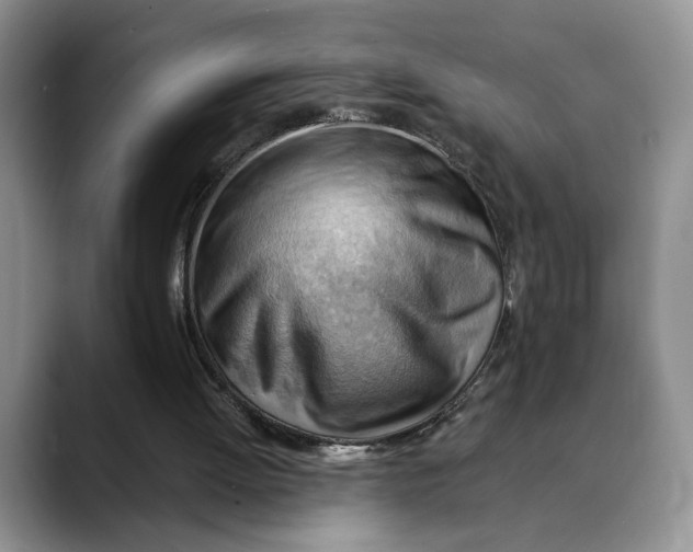 X0000088410052200706121422