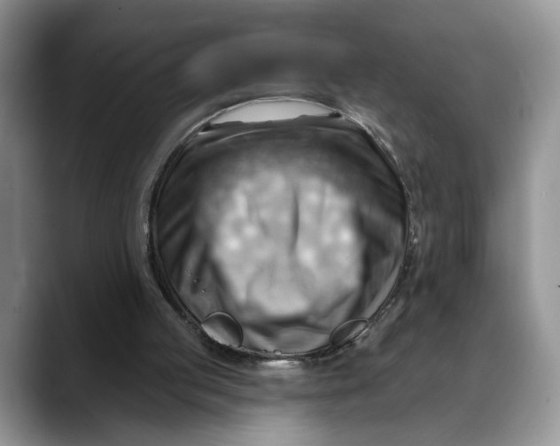 X0000088410053200706121422