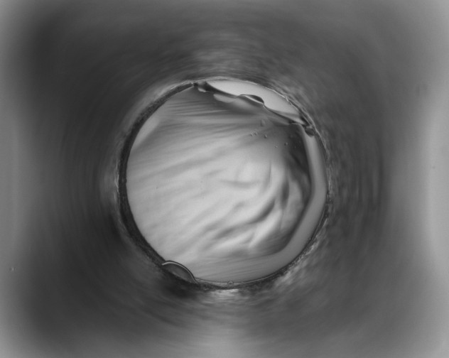 X0000088410054200706121422