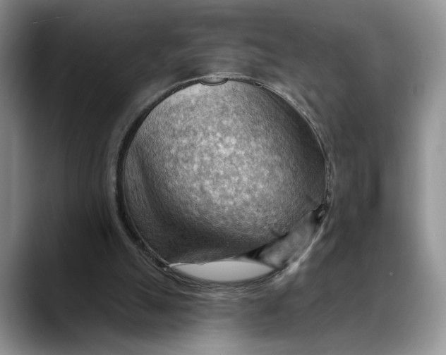 X0000088410055200706121422