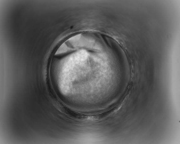 X0000088410056200706121422