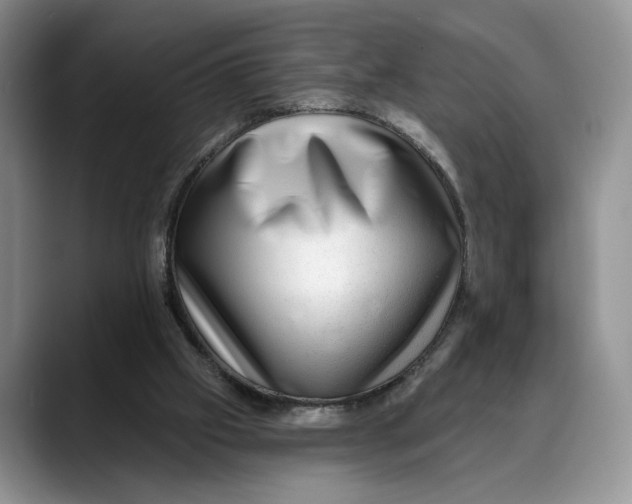 X0000088410057200706121422