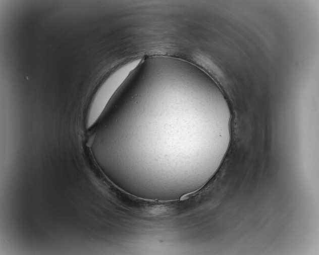 X0000088410058200706121422