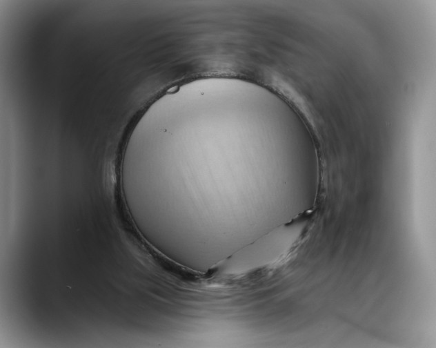 X0000088410059200706121422