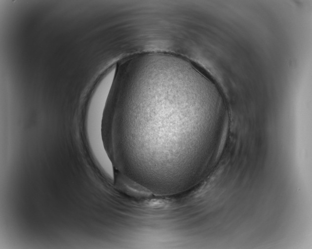 X0000088410060200706121422