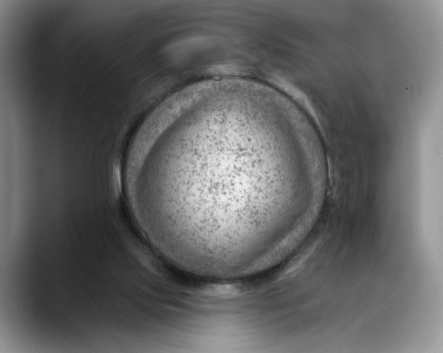 X0000088410061200706121422