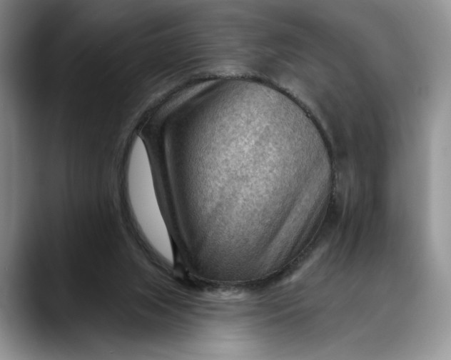 X0000088410063200706121422