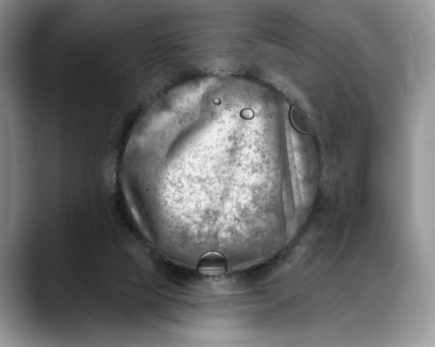 X0000088410065200706121422