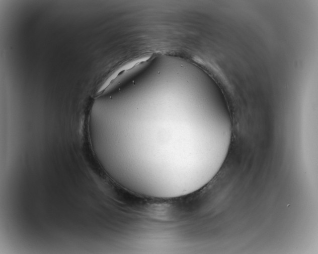 X0000088410066200706121422