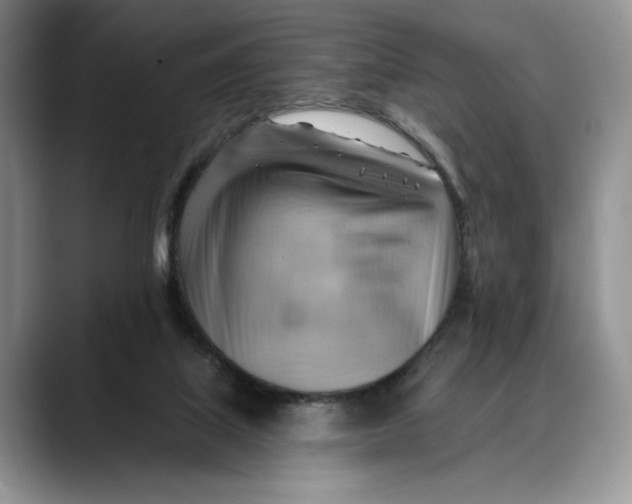 X0000088410067200706121422