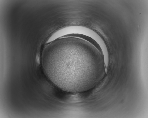 X0000088410068200706121422