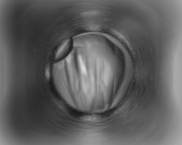 X0000088410069200706121422