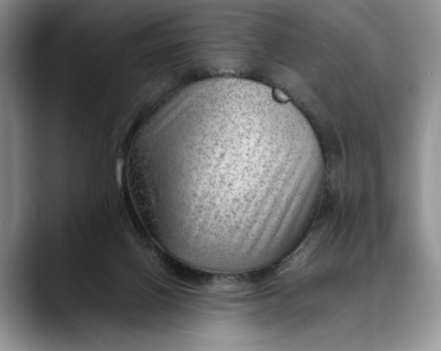 X0000088410070200706121422