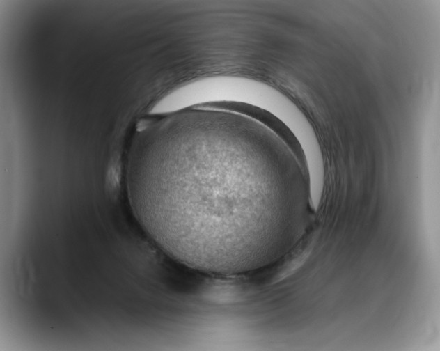 X0000088410072200706121422