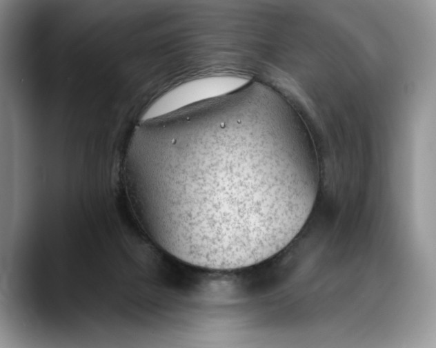 X0000088410073200706121422