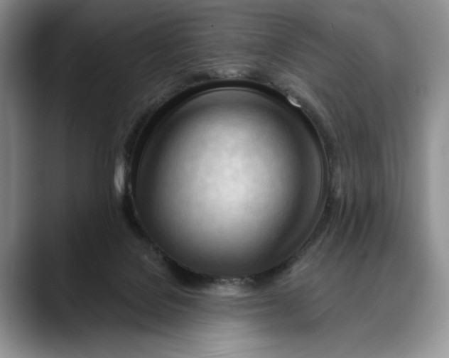 X0000088410076200706121422