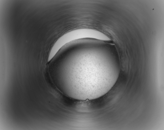 X0000088410077200706121422