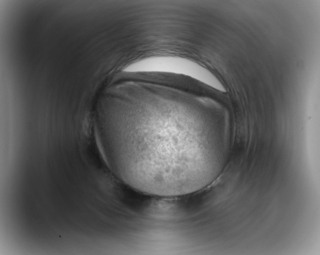 X0000088410078200706121422