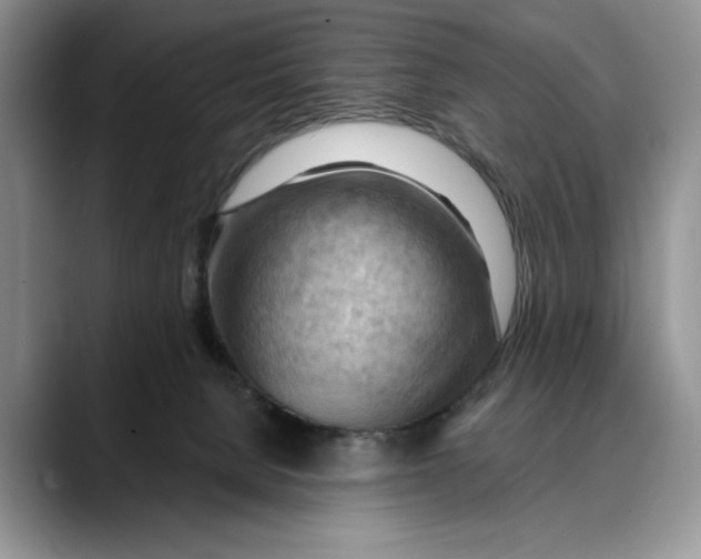 X0000088410080200706121422