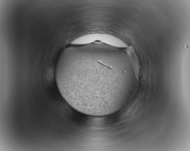 X0000088410081200706121422