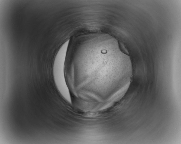 X0000088410084200706121422