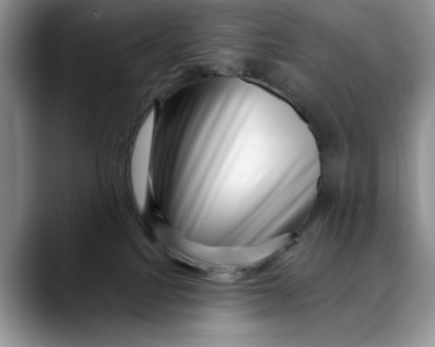 X0000088410088200706121422