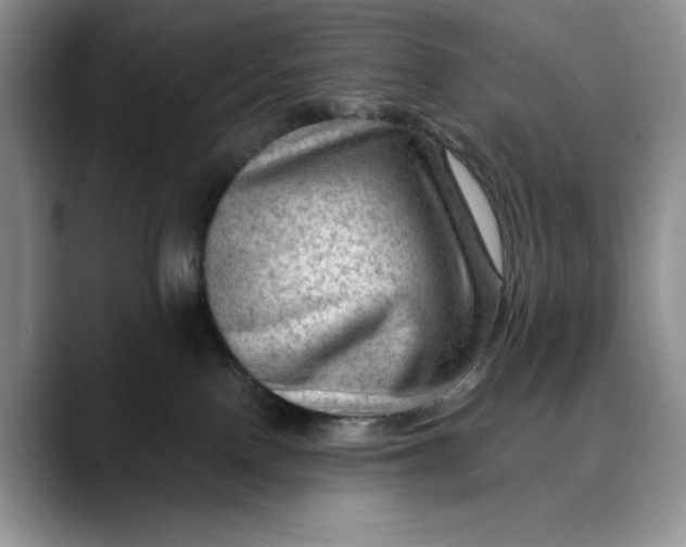 X0000088410090200706121422