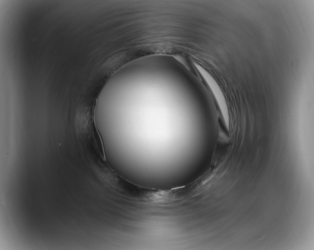 X0000088410092200706121422