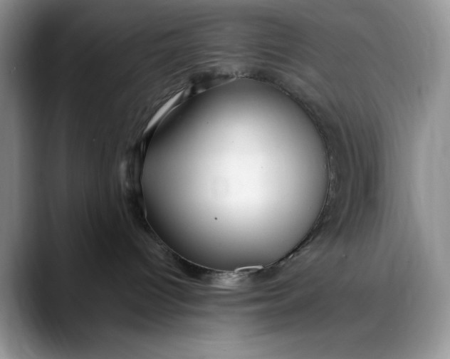 X0000088410096200706121422