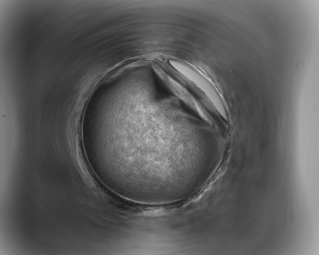 X0000088410097200706121422