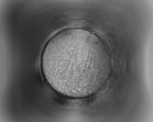 X0000088410100200706121422