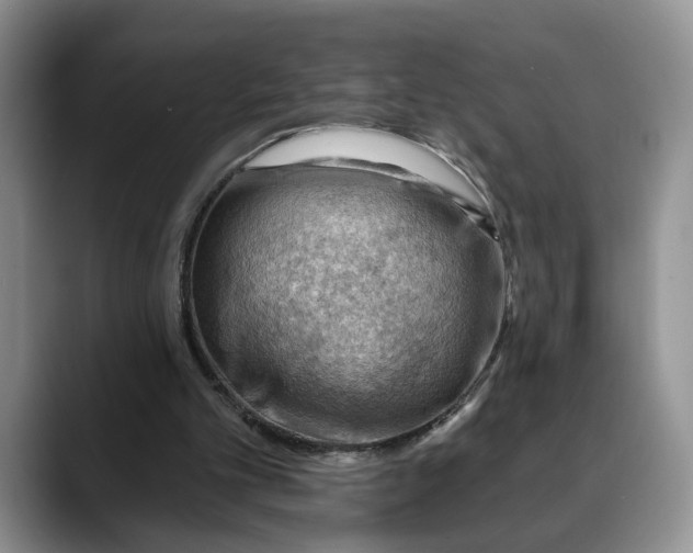 X0000088410101200706121422