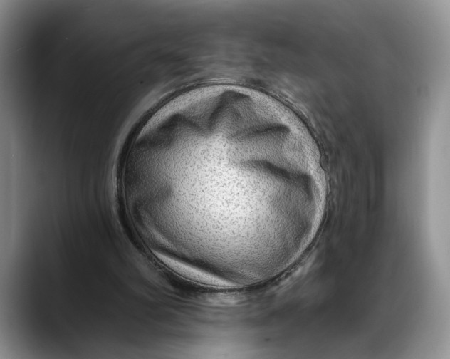 X0000088410102200706121422