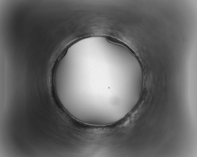 X0000088410103200706121422