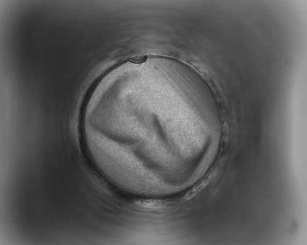 X0000088410104200706121422