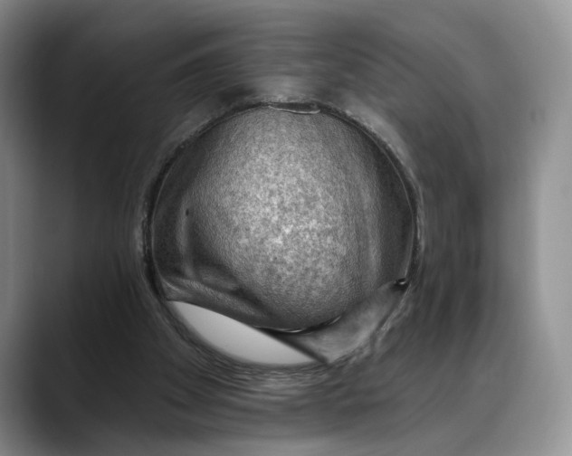 X0000088410105200706121422