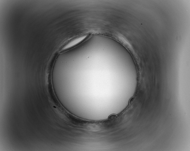 X0000088410106200706121421